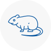 Rat Control Ware